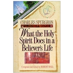 BELIEVER'S LIFE SERIES<BR>What the Holy Spirit Does in a Believer's Life
